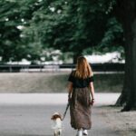 Dog Pulling on the Leash? Training a Dog to Walk on a Leash