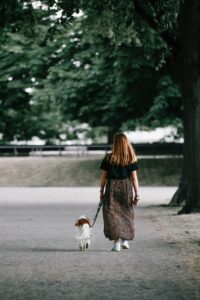 Dog Pulling on the Leash? Training a Dog to Walk on a Leash