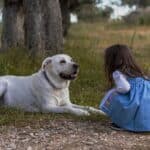 Reasons Reading to Dogs Benefits Kids