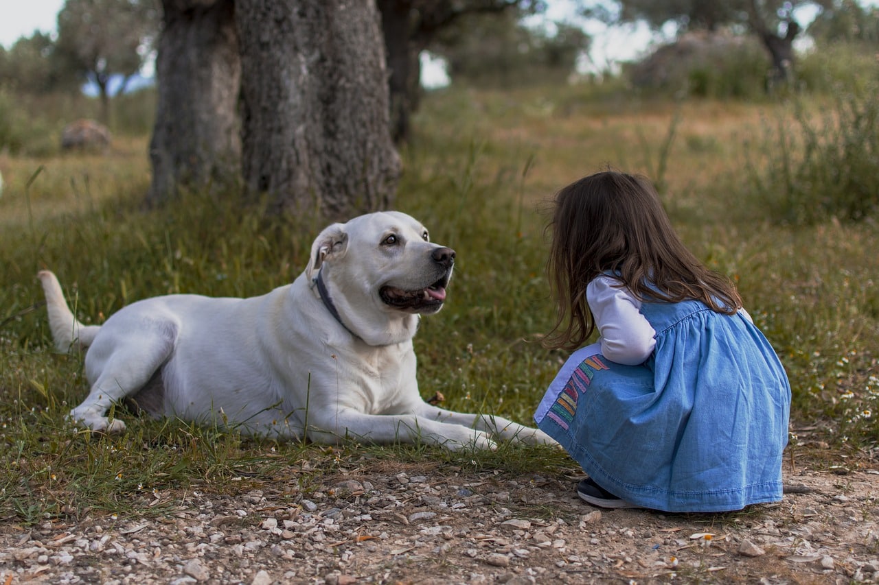 Reasons Reading to Dogs Benefits Kids