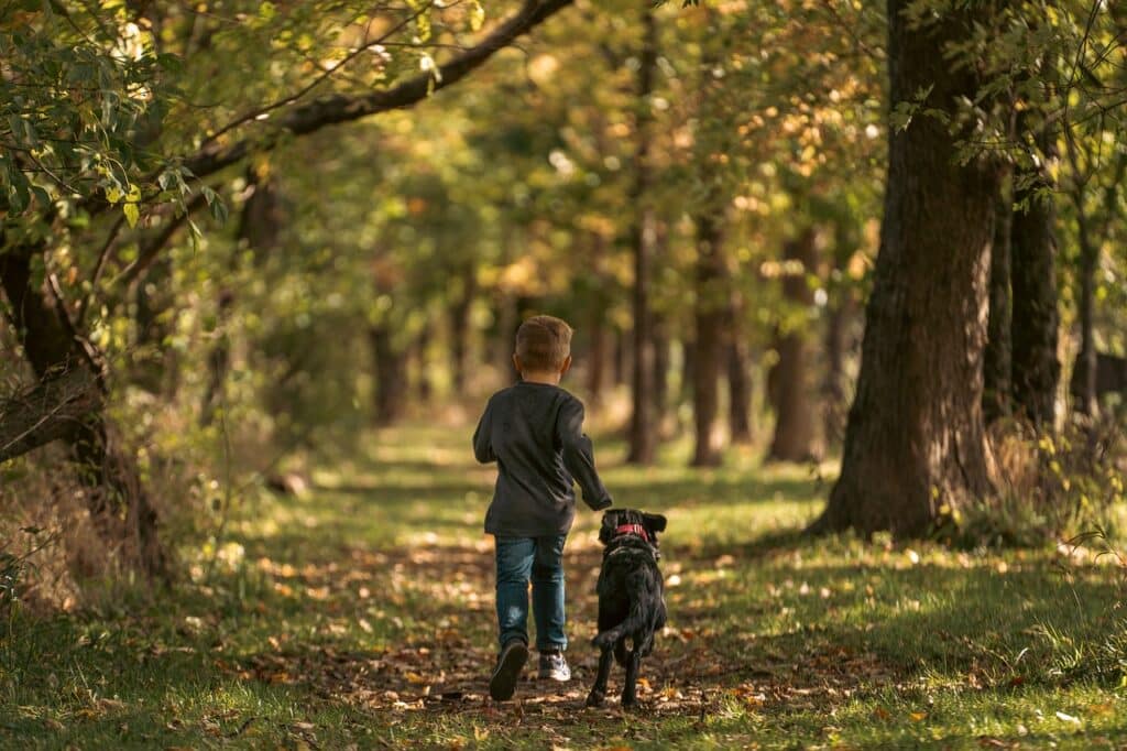 Running With Your Dog